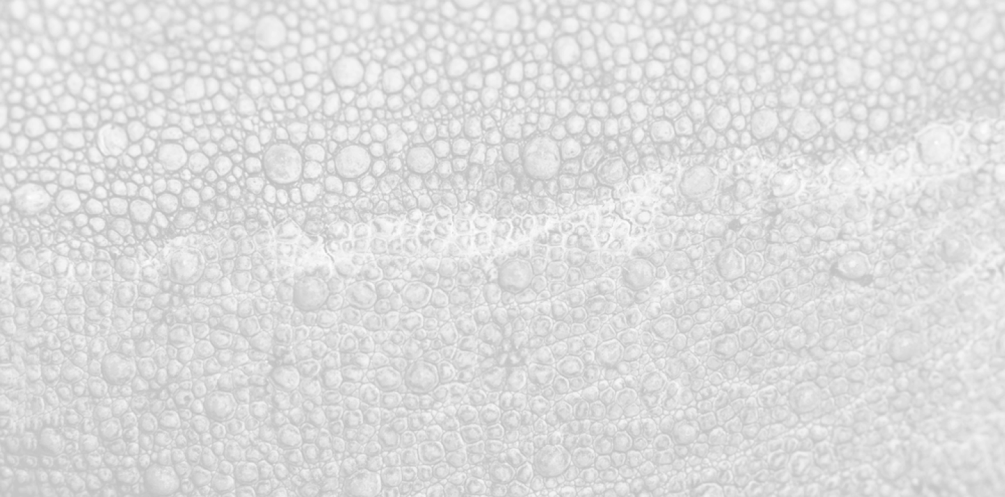 Product 7721 — Chameleon Labs